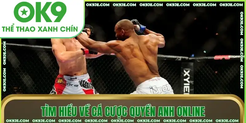 Tìm hiểu về cá cược quyền anh online Tìm hiểu về cá cược quyền anh online